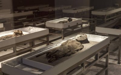Cultura Chinchorro: Las momias más antiguas del mundo